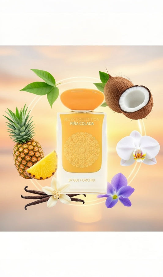 PINA COLADA - GULF ORCHID